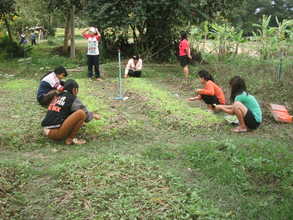 Organic vegetable growing