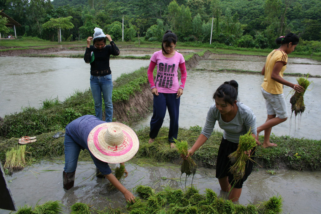 Eco-school for girls in northern Thailand