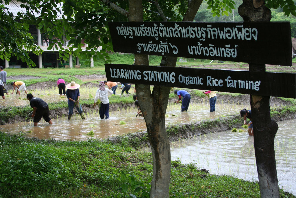 Eco-school for girls in northern Thailand