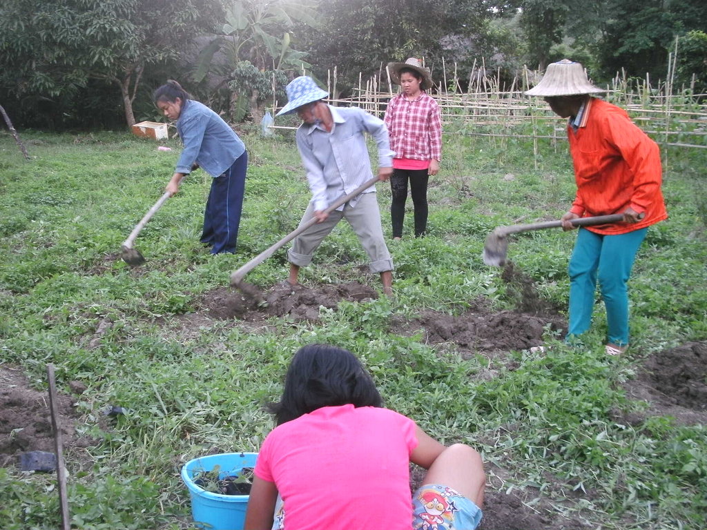 Eco-school for girls in northern Thailand