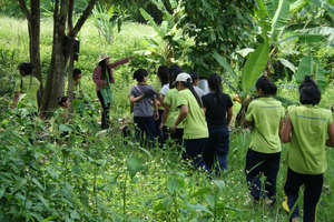 Monsaengdao's nature trail