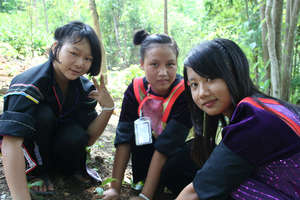 Tree planting