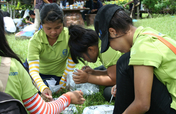 Eco-school for girls in northern Thailand