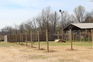 new play yards being built for the dogs