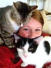 Kristin: part awesome volunteer part cat lady