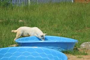Got to have pools in the summer in the South!