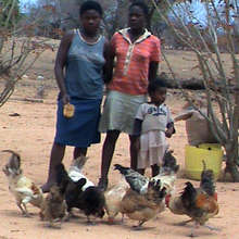 Girls with their chickens