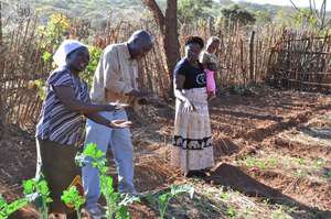 Training in Conservation Farming