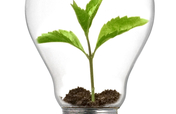 Empowering Young Social Innovators