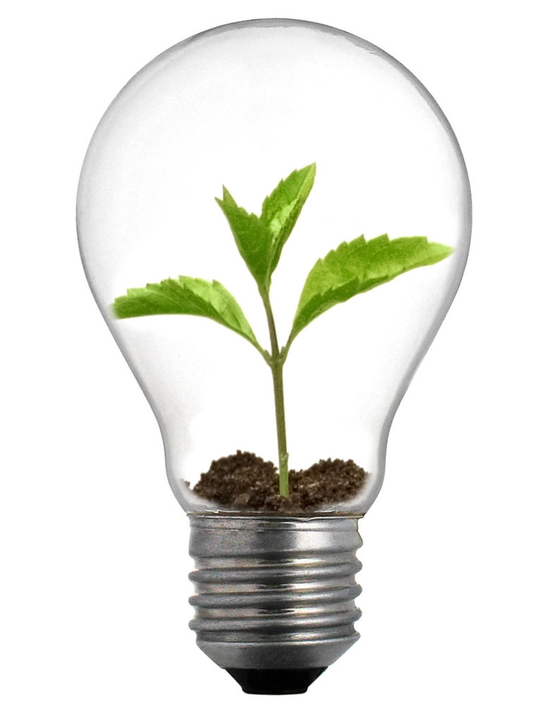 Empowering Young Social Innovators
