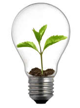 Empowering Young Social Innovators