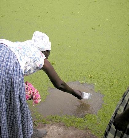Bring Safe, Clean Water to Ethiopian Children