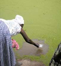 Gathering Water