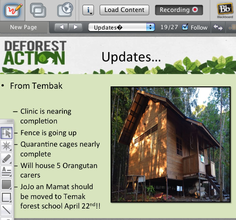 Updates from Borneo, April 2014