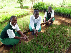 Empowering Youth Environmental Action