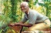 Health, Nutrition and Sanitation for Jamaicans