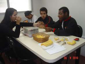 Training for Youth with Disabilities in Brazil
