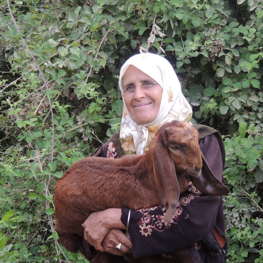 Share the Story of Abraham's Path