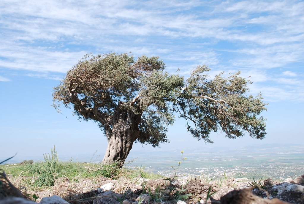 Share the Story of Abraham's Path