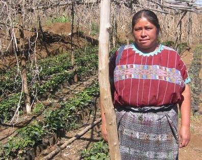 Build a Sustainable Community in Rural Guatemala