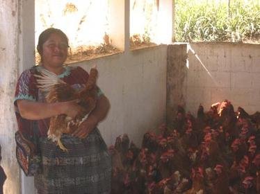 Build a Sustainable Community in Rural Guatemala