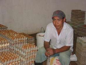 APROSADSE Chicken Project