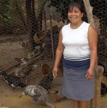 APROSADSE Chicken Project