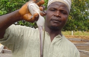 Create 15 Jobs and save lives Fish-farming