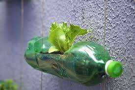 Hydroponics for Nicaragua Young Entrepreneurs