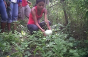 Hydroponics for Nicaraguan young entrepreneurs