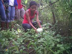 Hydroponics for Nicaraguan young entrepreneurs