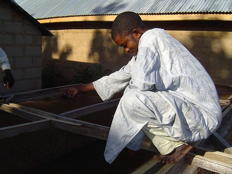 Save Lives with an Orphan Care Program in Bauchi