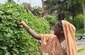 Women in India Protect Land & Foster Self-Reliance