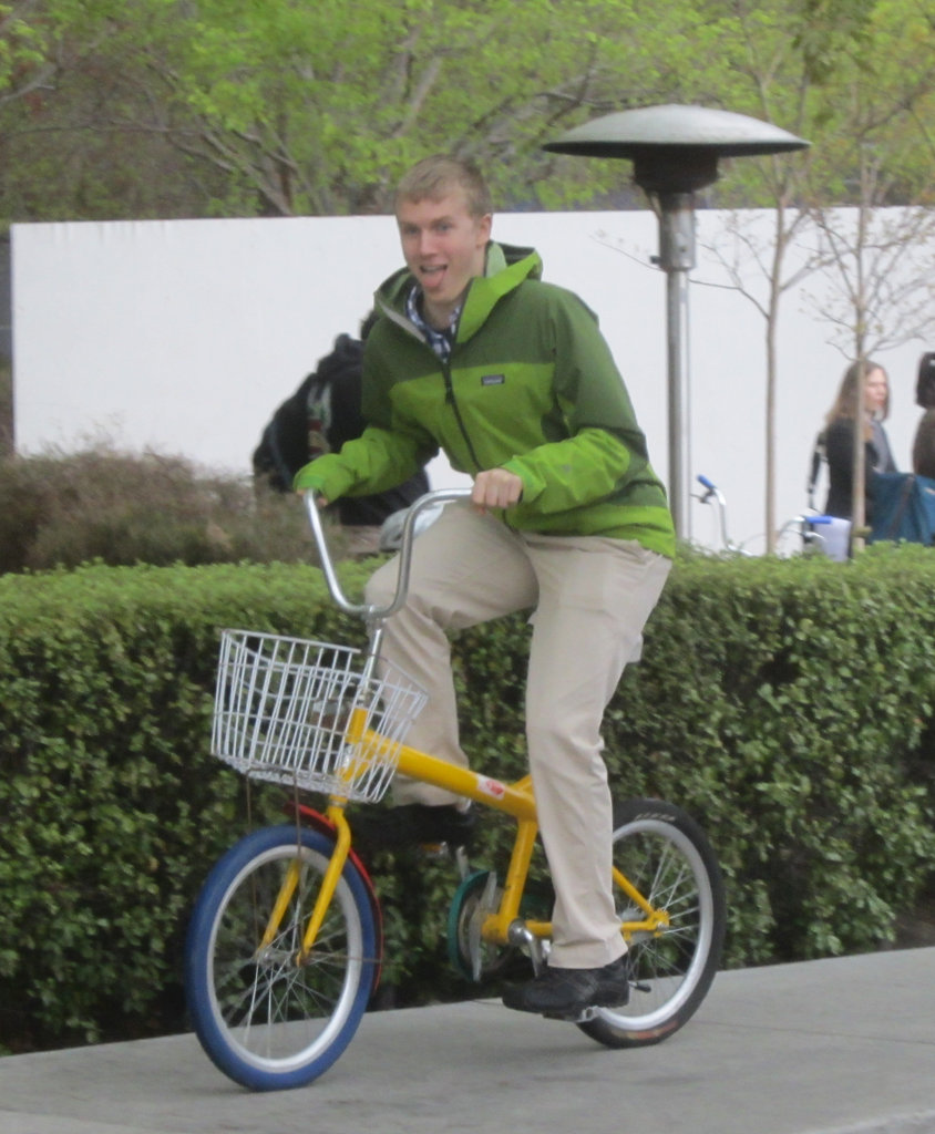 Helping Hands App: Help Chris run his venture!