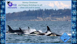 Christmas Card