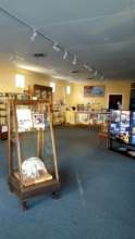 Orca Calf skull remains on display at Whale Center