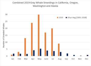 NOAA Fisheries 2019 Gray Whale deaths chart