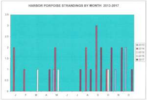 Harbor porpoise strandings by month, 2013 - 2017