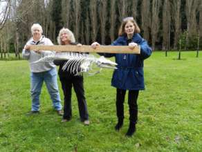 Volunteer team readying Maxine for Transport