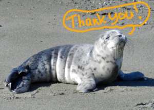 Thank YOU for your support!