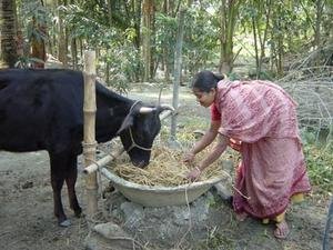 End Hunger for Rural Families in Bangladesh