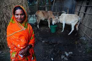 End Hunger for Rural Families in Bangladesh
