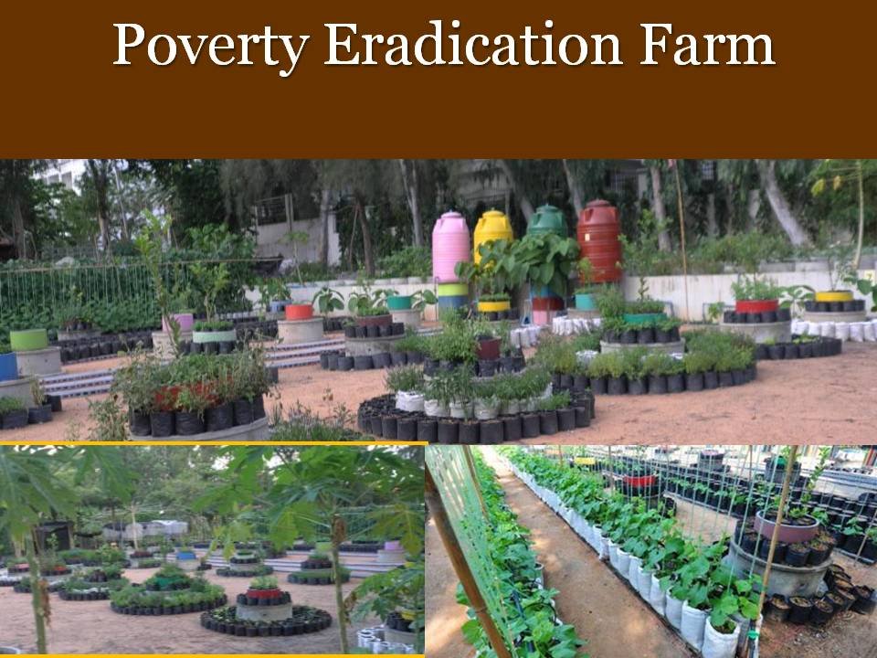 Student Integrated Poverty Eradication Farm