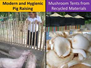 4 Students' mushroom & pig raising project