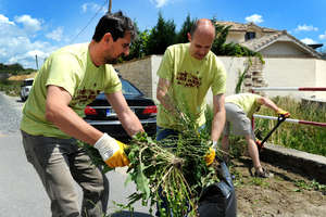 Nase Mesto - garden cleaning