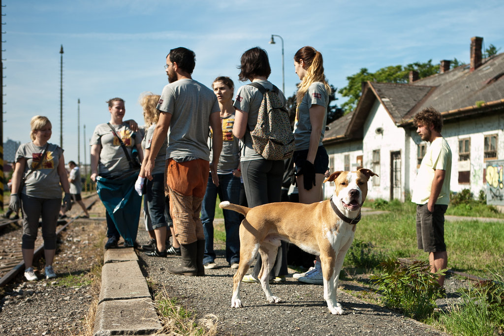 Nase Mesto / Our Town / Pontis Foundation