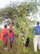 GLOBAL GIVING INSPECTS REFORESTED AREAS
