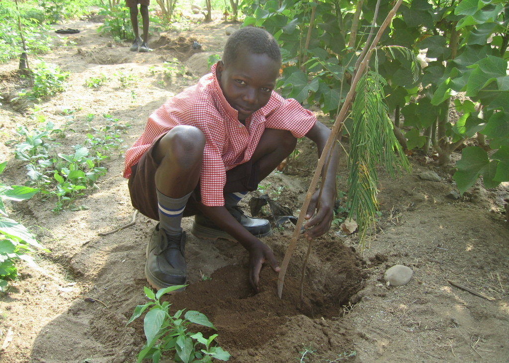 Trees and Water for Masai in Kenya