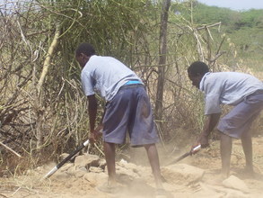 School children planting trees