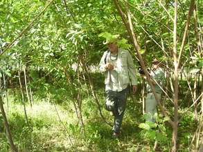 Sopranos actor tours the tree plant out area